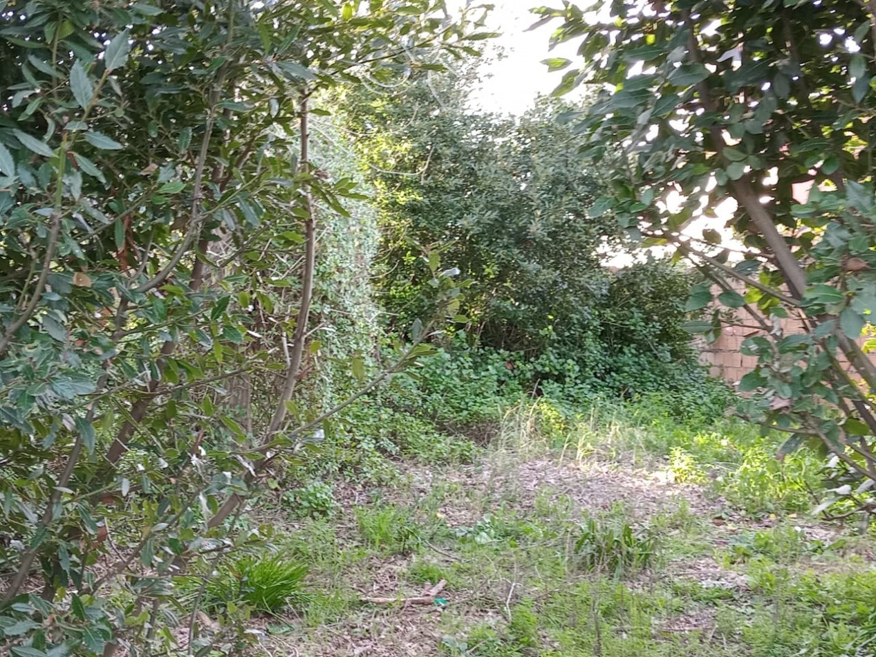 Lote de 860M2 Barrio Tala 