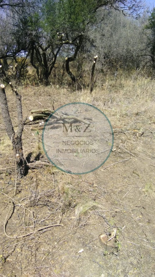 OPORTUNIDAD LOTE A 7 CUADRAS PLAZA DE LA PAZ