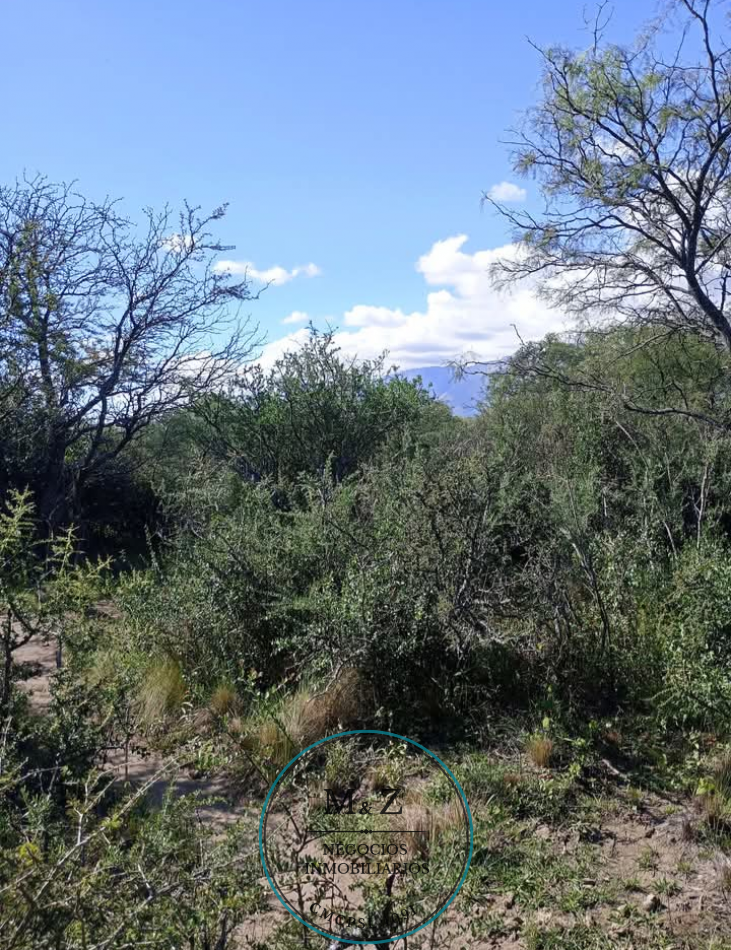 VENDE CAMPO OPORTUNIDAD DE EMPRENDIMIENTO INMOBILIARIO