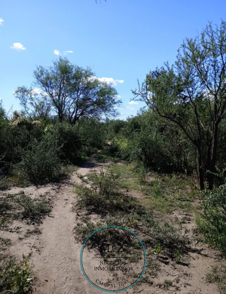 VENDE CAMPO OPORTUNIDAD DE EMPRENDIMIENTO INMOBILIARIO
