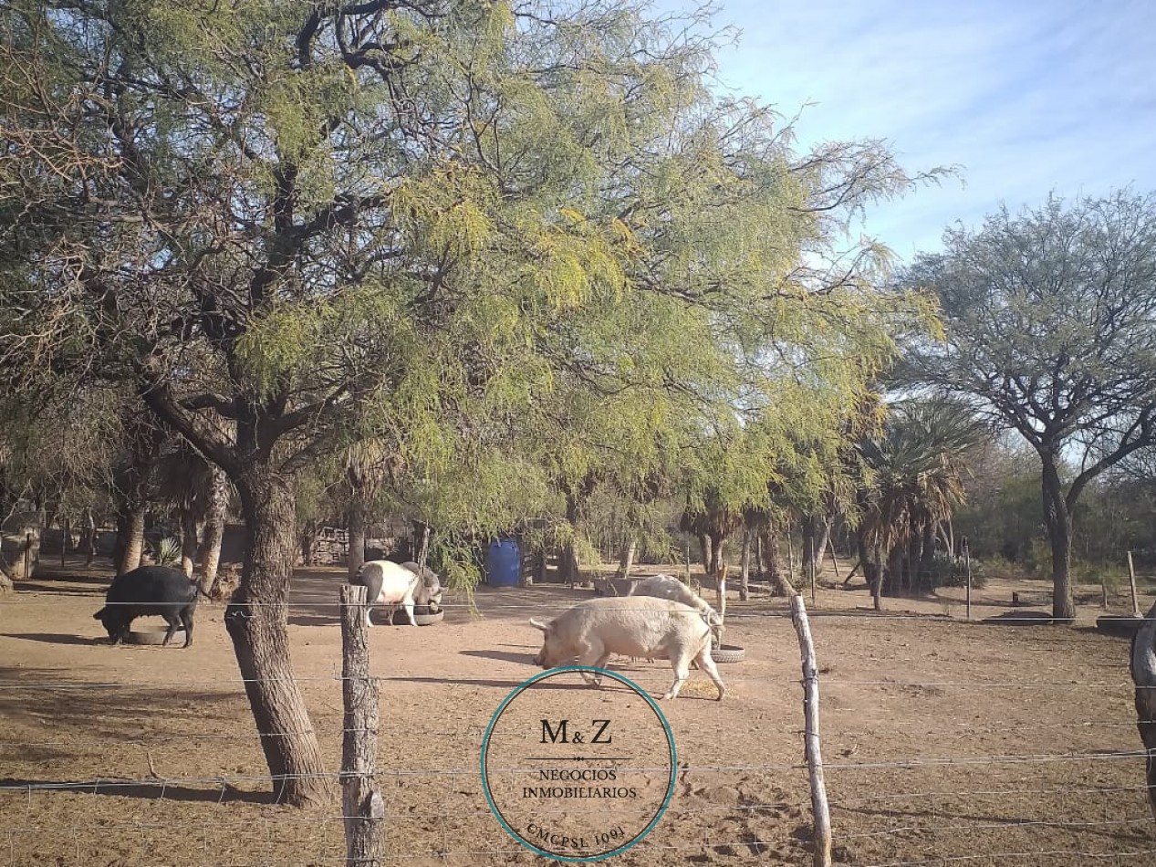 VENDE CAMPO CON CASA EN PAPAGALLOS