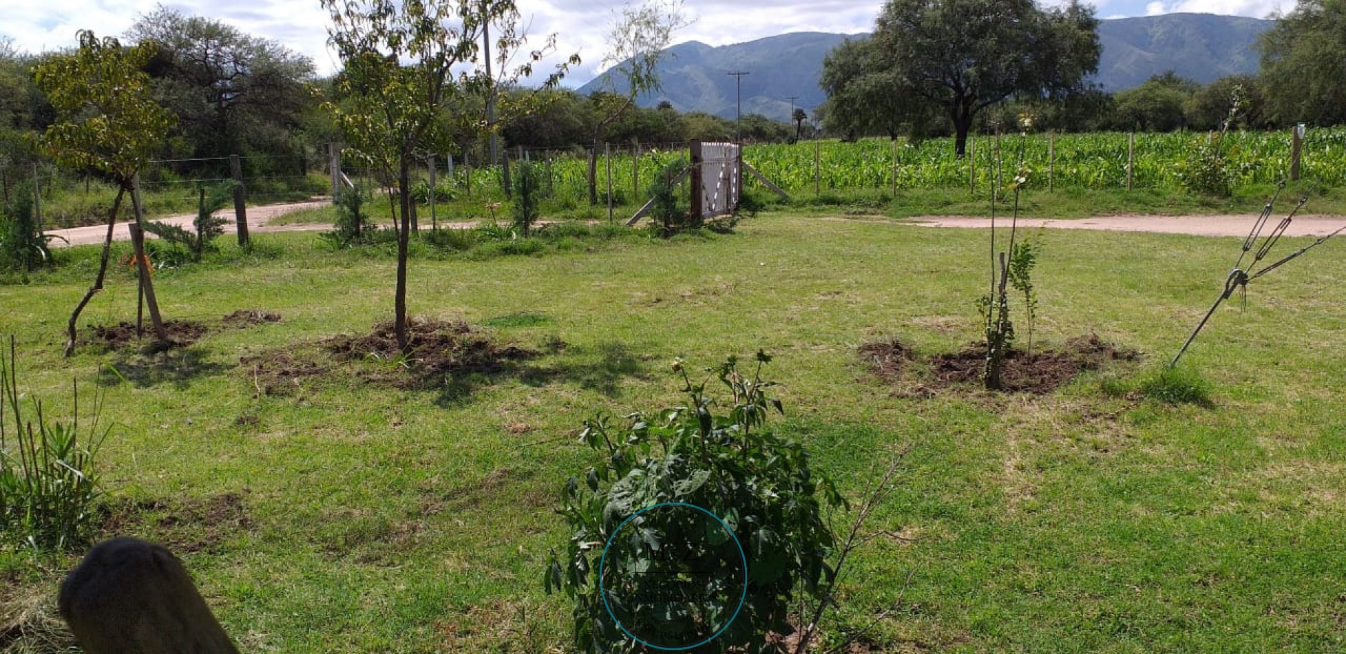 VENDE CAMPO CON CASA EN PAPAGALLOS