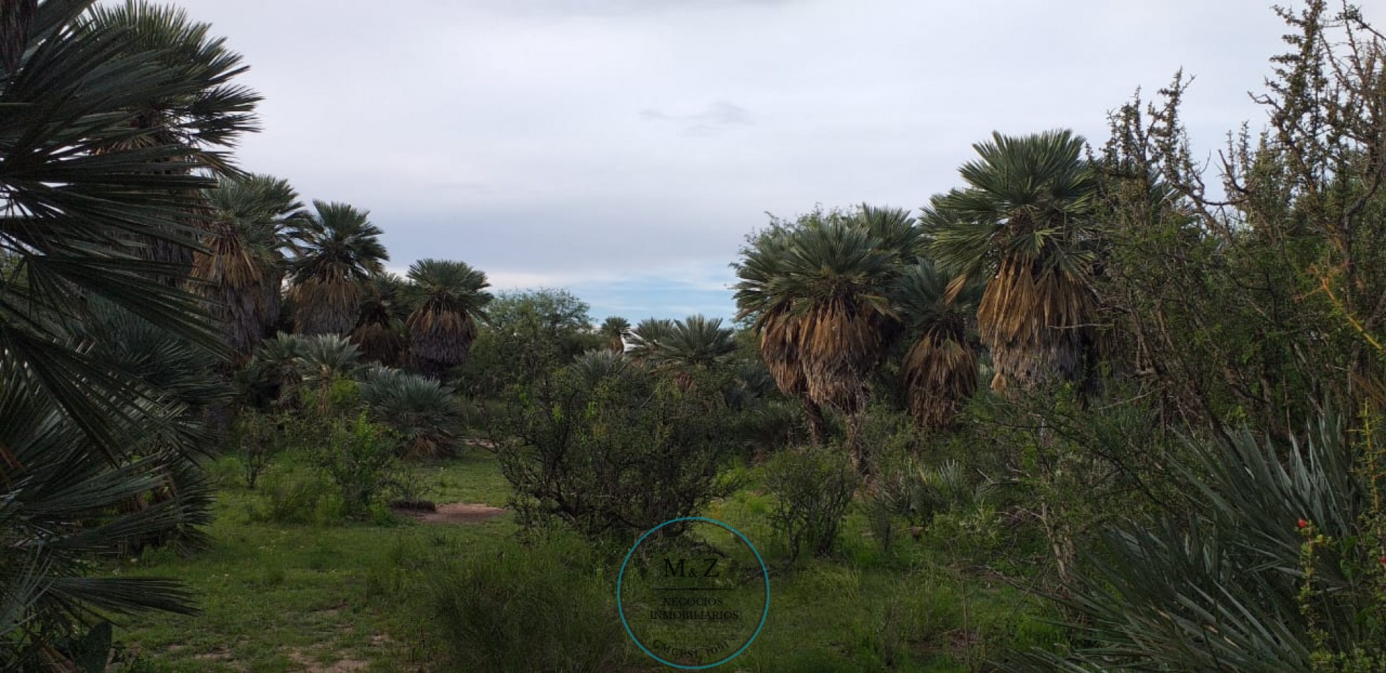VENDE CAMPO CON CASA EN PAPAGALLOS