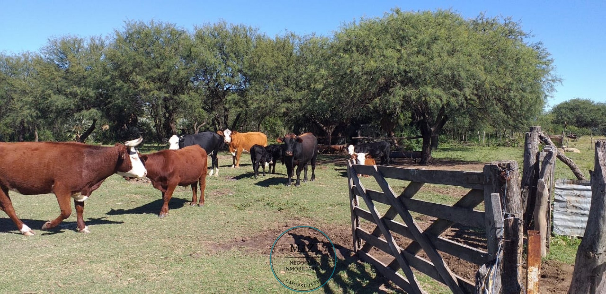 VENDE CAMPO CON CASA EN PAPAGALLOS