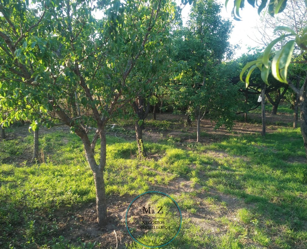 VENDE CAMPO CON CASA EN PAPAGALLOS