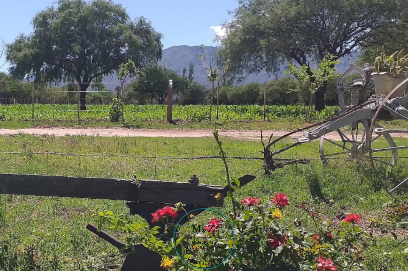 VENDE CAMPO CON CASA EN PAPAGALLOS
