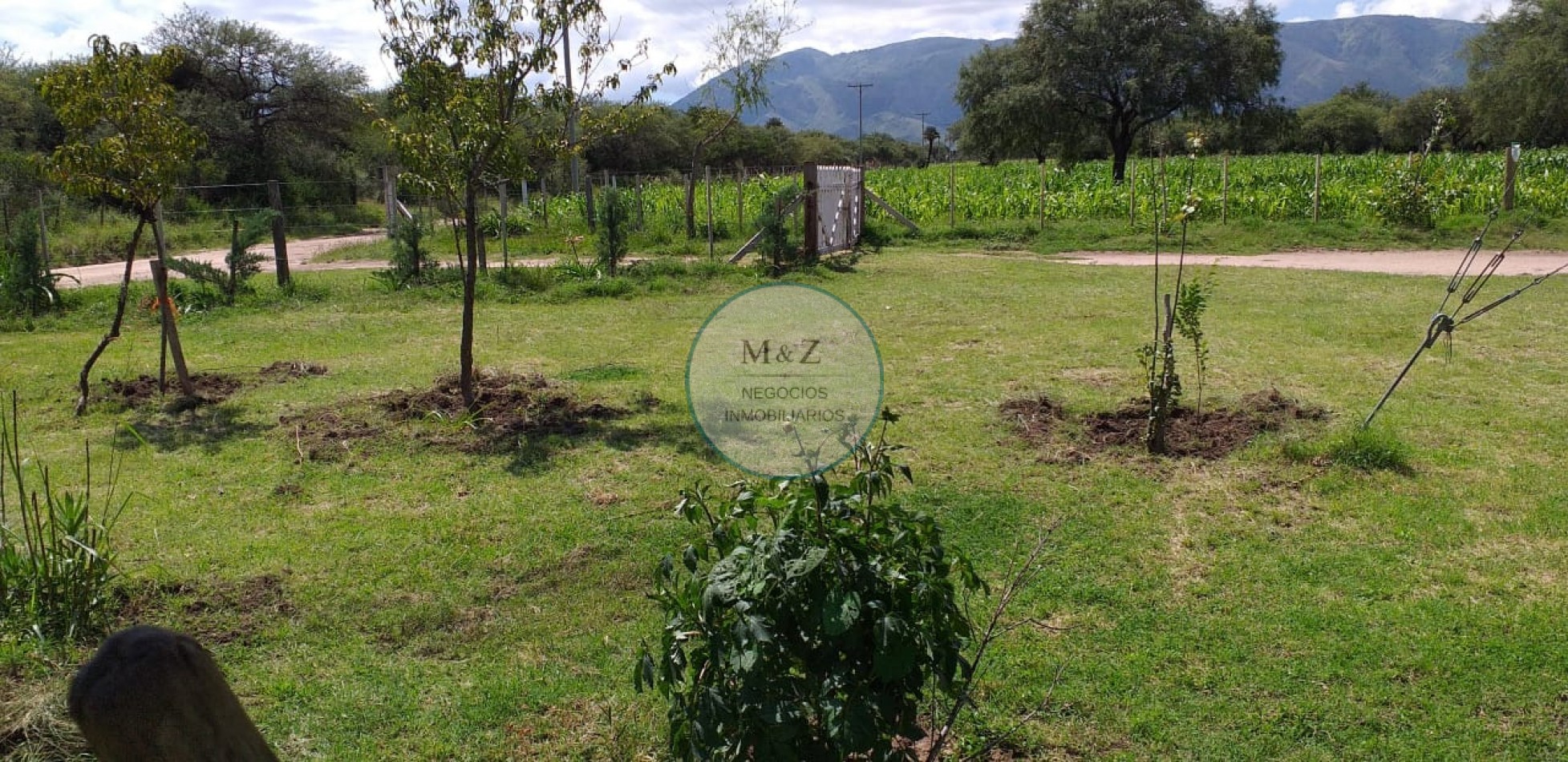 VENDE CAMPO EN PAPAGALLOS