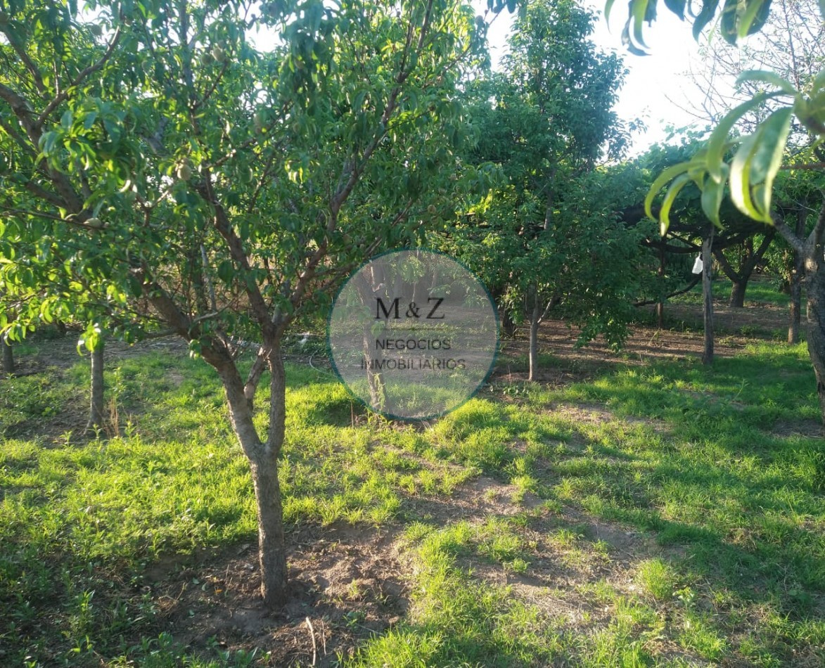 VENDE CAMPO EN PAPAGALLOS