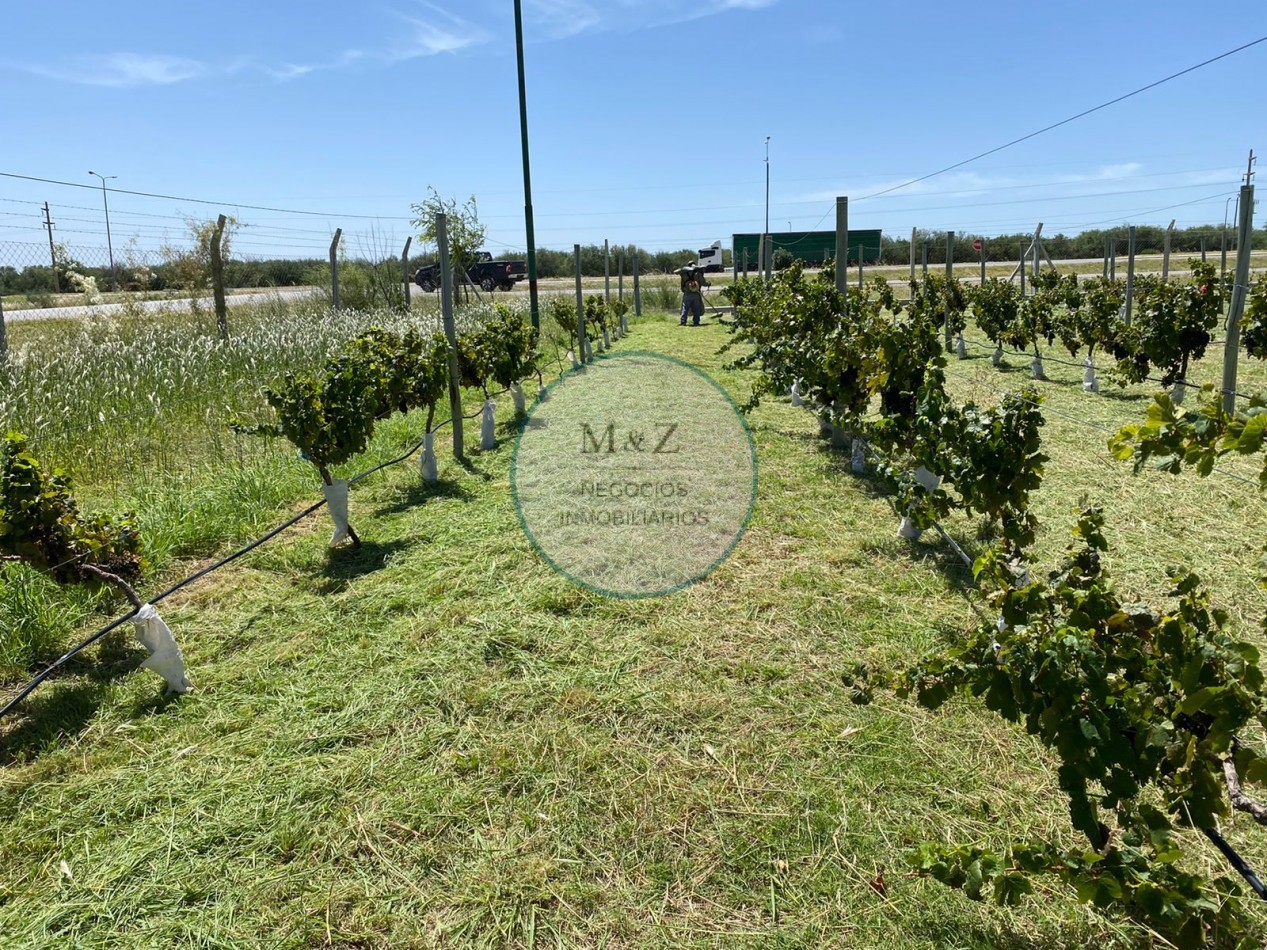 VENDO 29 LOTES LAS LAJAS II Y III