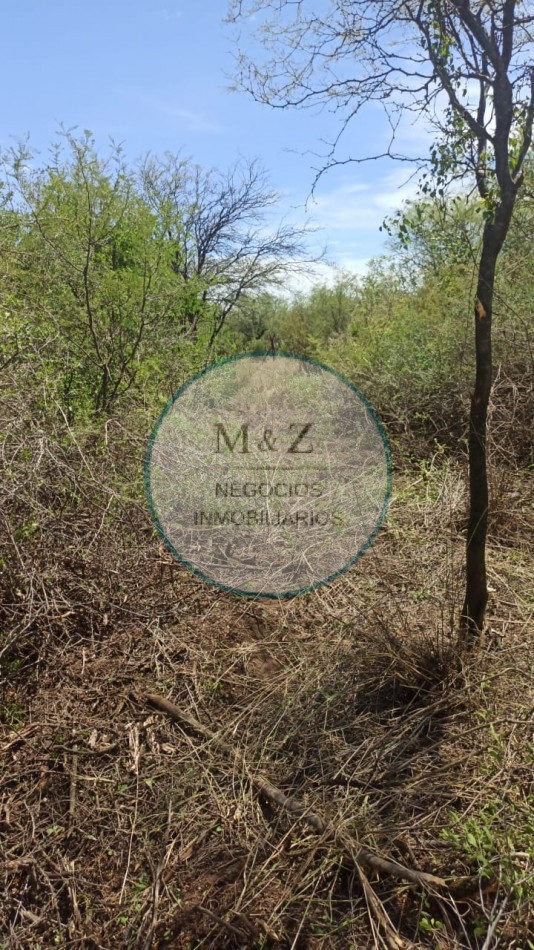VENDE LOTE EN LUYABA