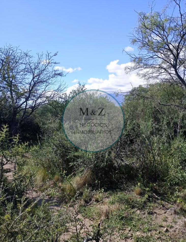 VENDE CAMPO OPORTUNIDAD DE EMPRENDIMIENTO INMOBILIARIO