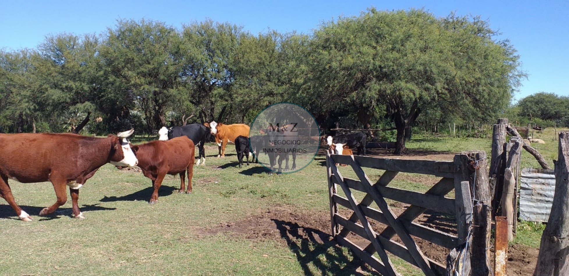 VENDE CAMPO EN PAPAGALLOS