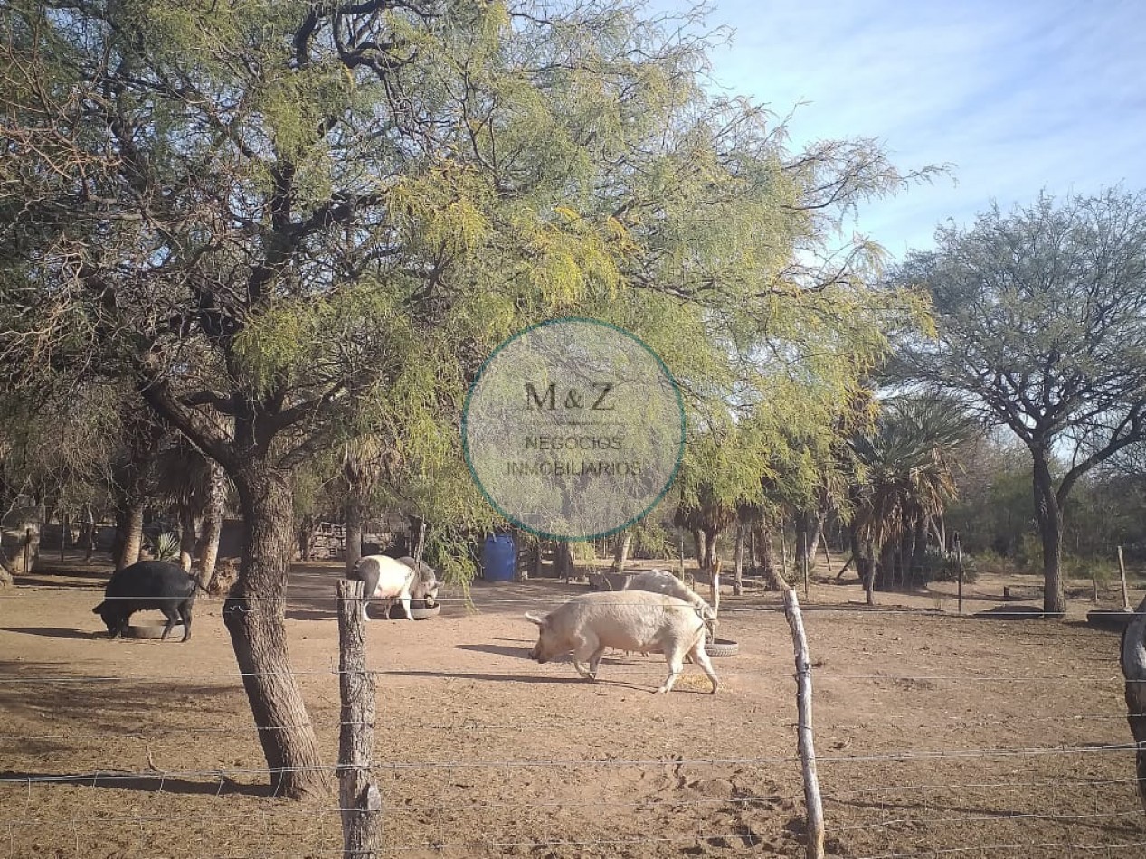 VENDE CAMPO EN PAPAGALLOS