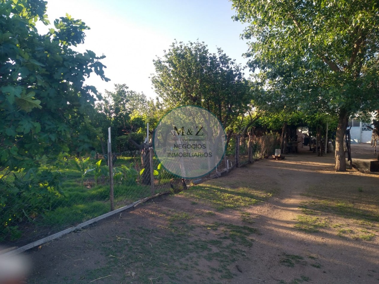 VENDE CAMPO EN PAPAGALLOS