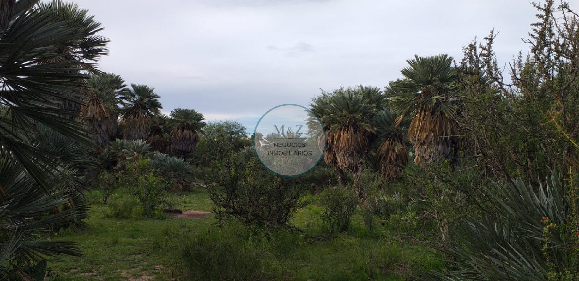 VENDE CAMPO EN PAPAGALLOS