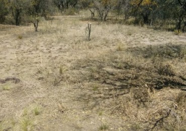 OPORTUNIDAD LOTE A 7 CUADRAS PLAZA DE LA PAZ