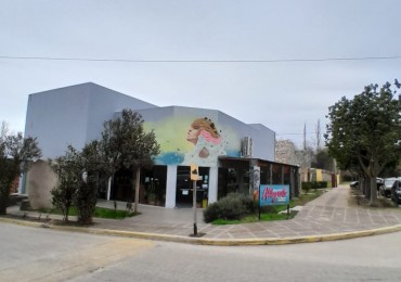 PREDIO 2 DEPARTAMNETOS Y 3 LOCALES APTOS SUB-DIVISION