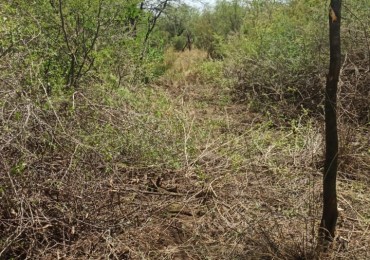 VENDE LOTE EN LUYABA