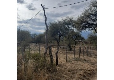 OPORTUNIDAD EN LOS PUESTOS